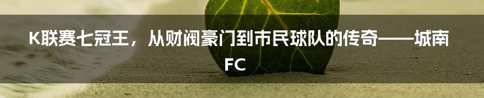 K联赛七冠王，从财阀豪门到市民球队的传奇——城南FC