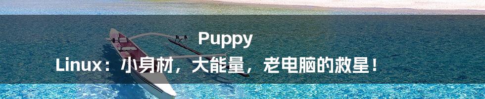 Puppy Linux:小身材,大能量,老电脑的救星!
