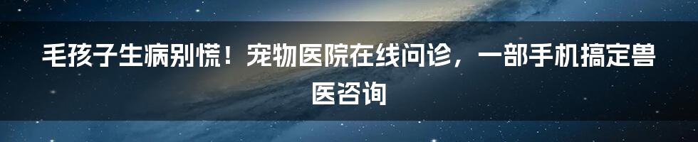 毛孩子生病别慌！宠物医院在线问诊，一部手机搞定兽医咨询