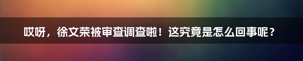 哎呀，徐文荣被审查调查啦！这究竟是怎么回事呢？