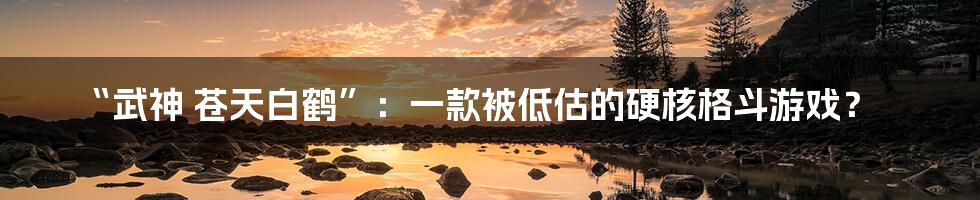 “武神 苍天白鹤”:一款被低估的硬核格斗游戏?