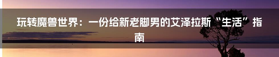 玩转魔兽世界：一份给新老脚男的艾泽拉斯“生活”指南