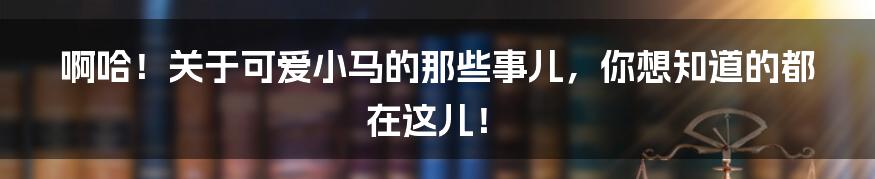 啊哈！关于可爱小马的那些事儿，你想知道的都在这儿！