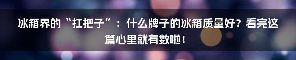 冰箱界的“扛把子”：什么牌子的冰箱质量好？看完这篇心里就有数啦！