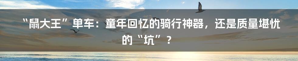 “鼠大王”单车：童年回忆的骑行神器，还是质量堪忧的“坑”？