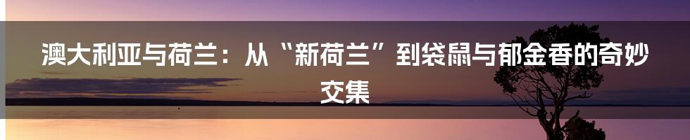 澳大利亚与荷兰：从“新荷兰”到袋鼠与郁金香的奇妙交集