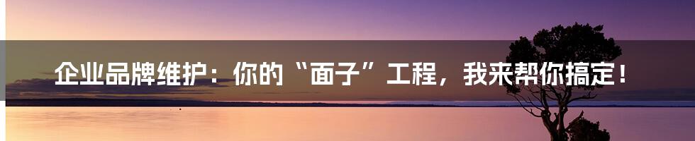 企业品牌维护：你的“面子”工程，我来帮你搞定！