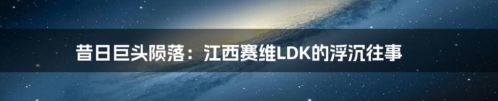 昔日巨头陨落：江西赛维LDK的浮沉往事