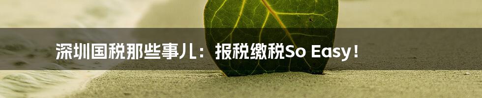 深圳国税那些事儿：报税缴税So Easy！