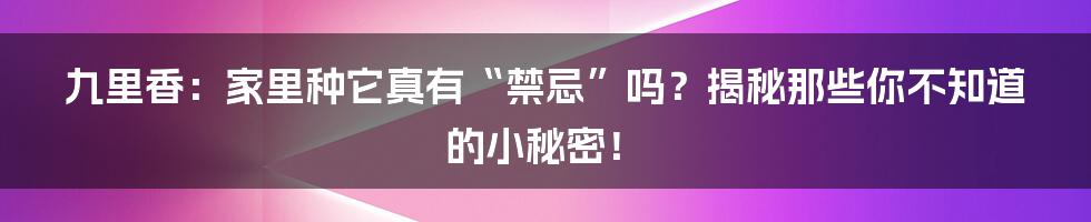 九里香：家里种它真有“禁忌”吗？揭秘那些你不知道的小秘密！