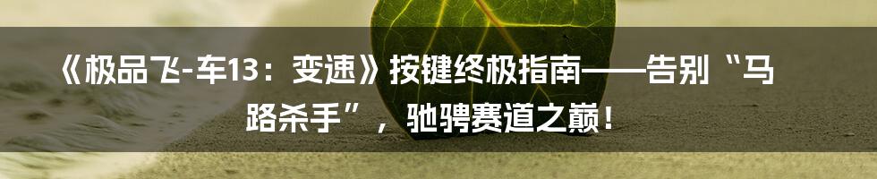 《极品飞-车13：变速》按键终极指南——告别“马路杀手”，驰骋赛道之巅！