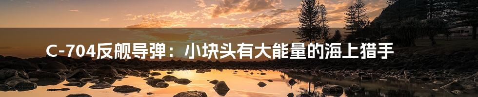 C-704反舰导弹：小块头有大能量的海上猎手
