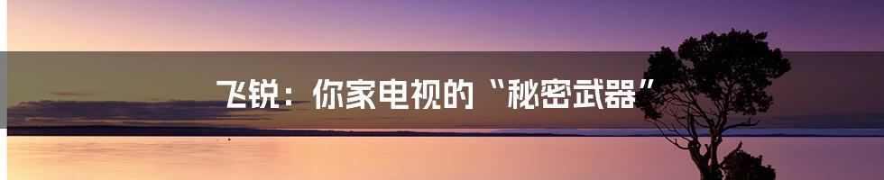 飞锐:你家电视的“秘密武器”