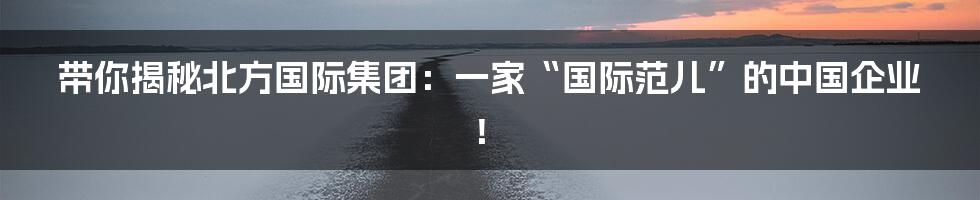 带你揭秘北方国际集团：一家“国际范儿”的中国企业！