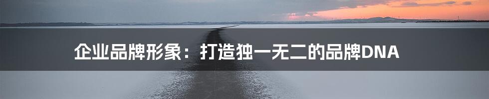 企业品牌形象：打造独一无二的品牌DNA