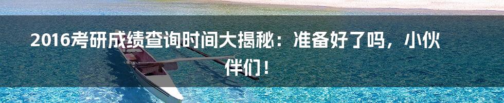 2016考研成绩查询时间大揭秘：准备好了吗，小伙伴们！