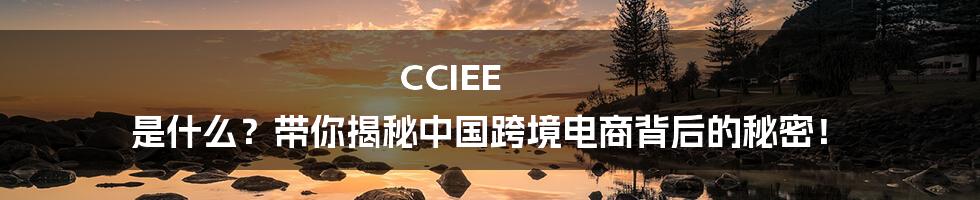 CCIEE 是什么?带你揭秘中国跨境电商背后的秘密!