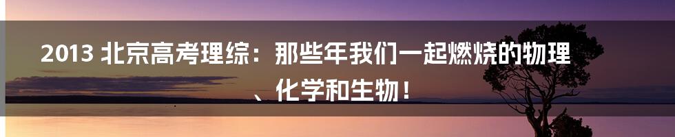 2013 北京高考理综：那些年我们一起燃烧的物理、化学和生物！