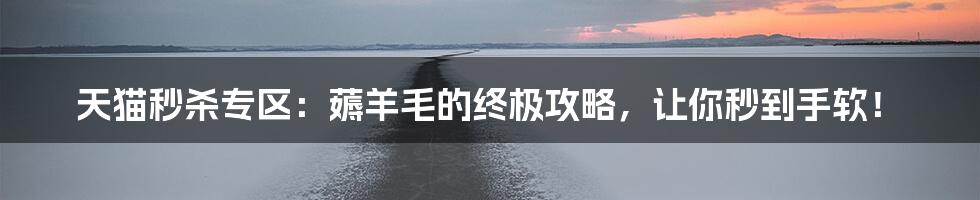 天猫秒杀专区：薅羊毛的终极攻略，让你秒到手软！