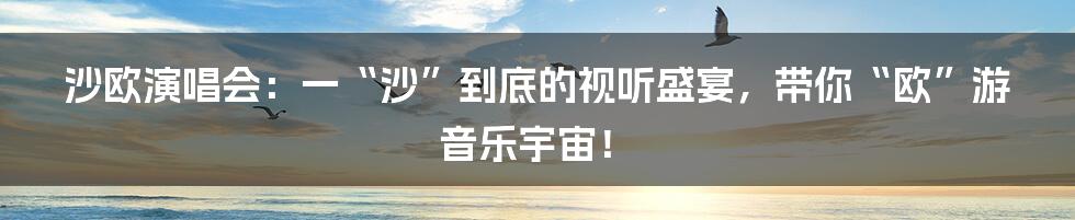 沙欧演唱会：一“沙”到底的视听盛宴，带你“欧”游音乐宇宙！