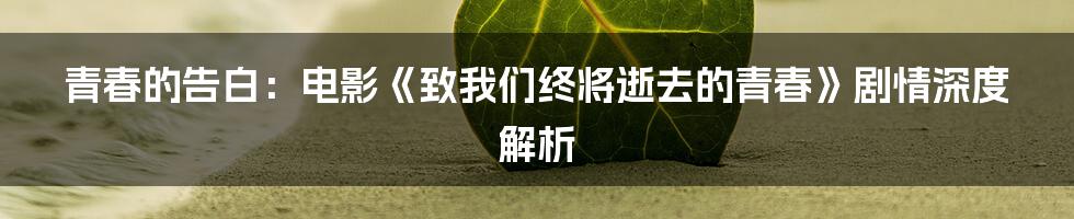 青春的告白:电影《致我们终将逝去的青春》剧情深度解析