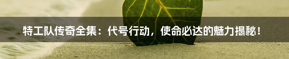 特工队传奇全集：代号行动，使命必达的魅力揭秘！