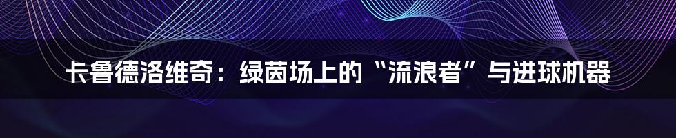 卡鲁德洛维奇:绿茵场上的“流浪者”与进球机器