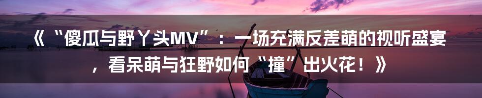 《“傻瓜与野丫头MV”:一场充满反差萌的视听盛宴,看呆萌与狂野如何“撞”出火花!》