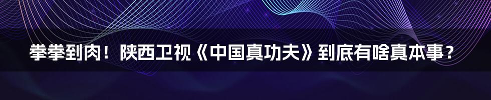拳拳到肉！陕西卫视《中国真功夫》到底有啥真本事？