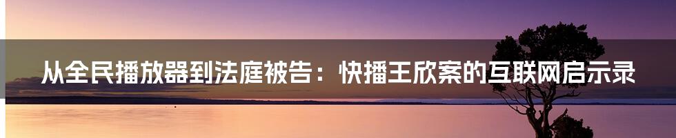 从全民播放器到法庭被告:快播王欣案的互联网启示录