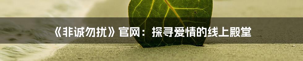 《非诚勿扰》官网:探寻爱情的线上殿堂