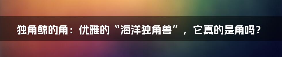 独角鲸的角:优雅的“海洋独角兽”,它真的是角吗?