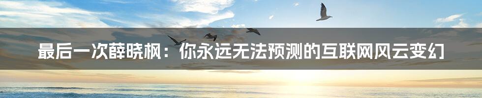 最后一次薛晓枫：你永远无法预测的互联网风云变幻
