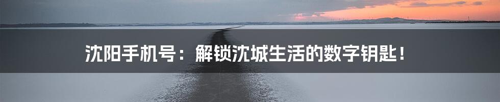 沈阳手机号:解锁沈城生活的数字钥匙!