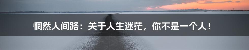 惘然人间路：关于人生迷茫，你不是一个人！