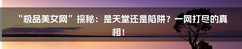 “极品美女网”探秘:是天堂还是陷阱?一网打尽的真相!