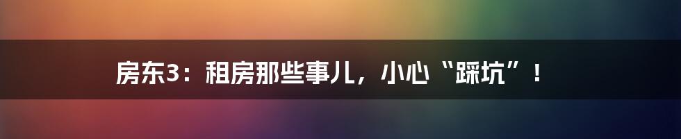 房东3：租房那些事儿，小心“踩坑”！