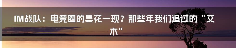IM战队:电竞圈的昙花一现?那些年我们追过的“艾木”