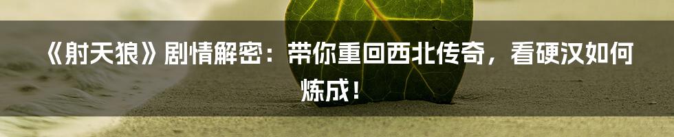 《射天狼》剧情解密：带你重回西北传奇，看硬汉如何炼成！