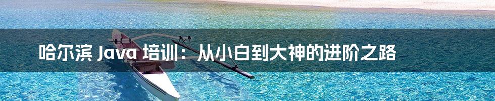 哈尔滨 Java 培训:从小白到大神的进阶之路