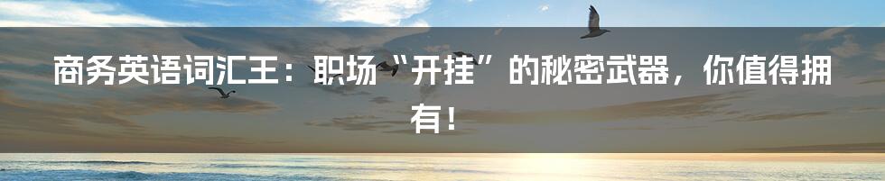商务英语词汇王：职场“开挂”的秘密武器，你值得拥有！