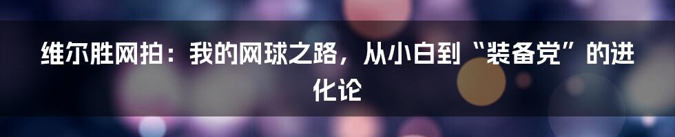 维尔胜网拍：我的网球之路，从小白到“装备党”的进化论