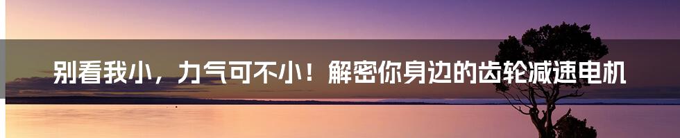 别看我小，力气可不小！解密你身边的齿轮减速电机