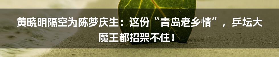 黄晓明隔空为陈梦庆生：这份“青岛老乡情”，乒坛大魔王都招架不住！