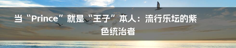 当“Prince”就是“王子”本人:流行乐坛的紫色统治者
