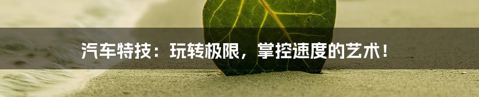 汽车特技:玩转极限,掌控速度的艺术!