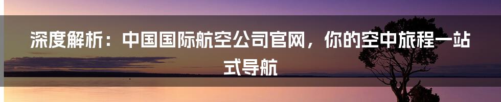 深度解析:中国国际航空公司官网,你的空中旅程一站式导航