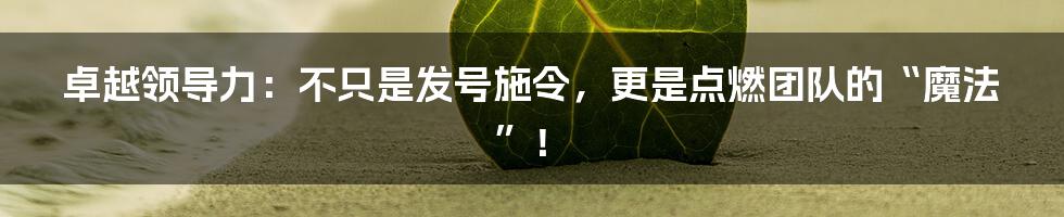 卓越领导力:不只是发号施令,更是点燃团队的“魔法”!