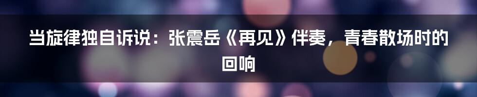 当旋律独自诉说:张震岳《再见》伴奏,青春散场时的回响