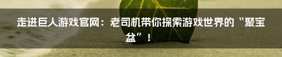 走进巨人游戏官网:老司机带你探索游戏世界的“聚宝盆”!
